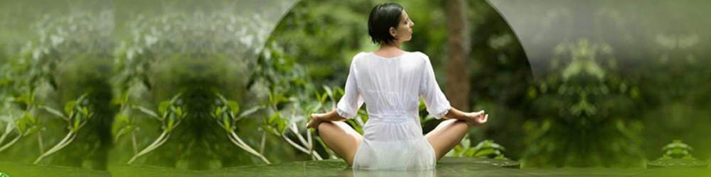 excerise yoga in rainforest